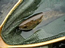 2007-05-01 024.JPG
